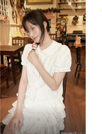 Izumi Skirt